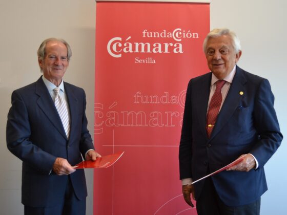 Proyecto Mayores Digitales