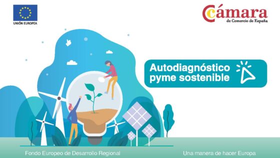 Programa de Sostenibilidad para Pymes