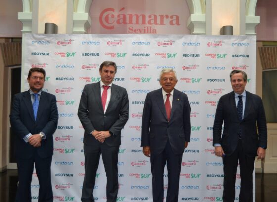 Nace Compra del Sur para potenciar la venta online