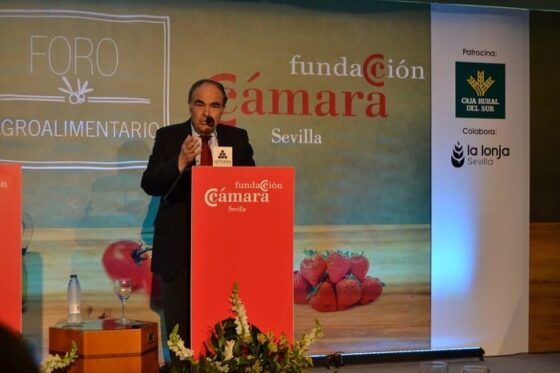 El Presidente de DCOOP, Antonio Luque asegura que “el sector del olivar tendra años complicados pero DCOOP va a ser parte importante para solucionar los posibles problemas de superproducción”