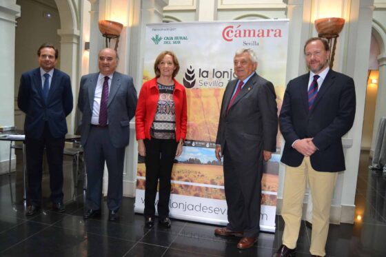 La Lonja de Sevilla celebra su primera Asamblea General con un balance de 117 socios en un año
