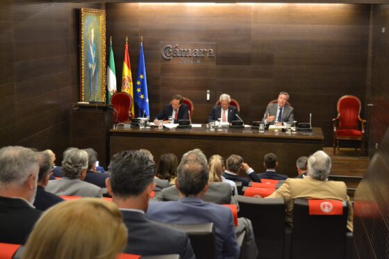El pleno Cámara insta a nuevos ayuntamientos a invertir