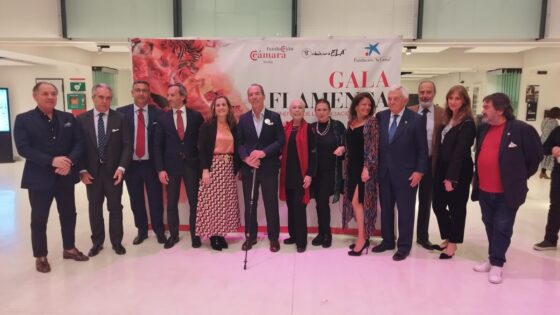 Gala Flamenca a beneficio de la Asociación DalecandELA
