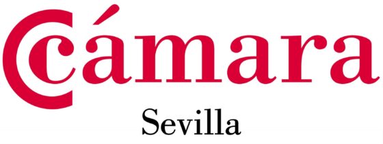 Programa +45 para desempleados mayores de 45 años
