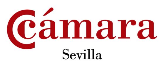 Formación para la inserción laboral en el comercio