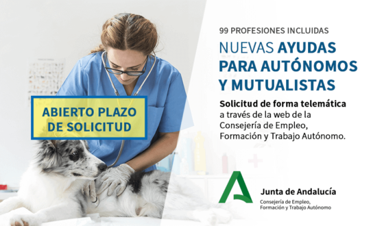 Ayudas excepcional de 300 euros para autónomos