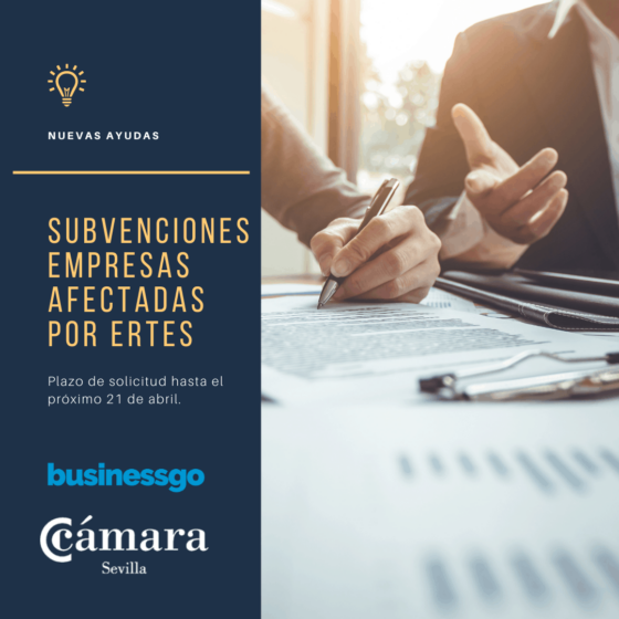 Subvenciones para la ayuda de empresas afectadas por ERTE