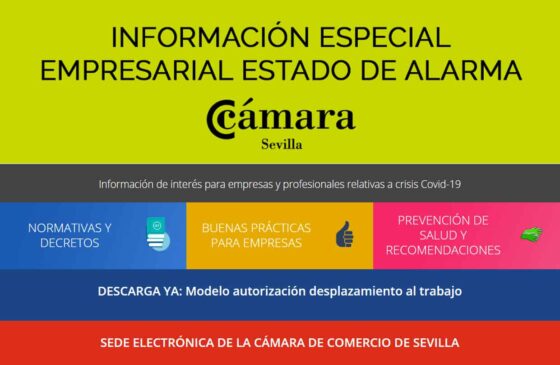 La Cámara atiende 4.000 consultas de empresas sevillanas