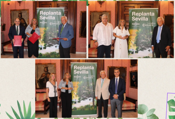 MAS, Martín Casillas y Consorcio de Jabugo se unen a ‘Replanta Sevilla’