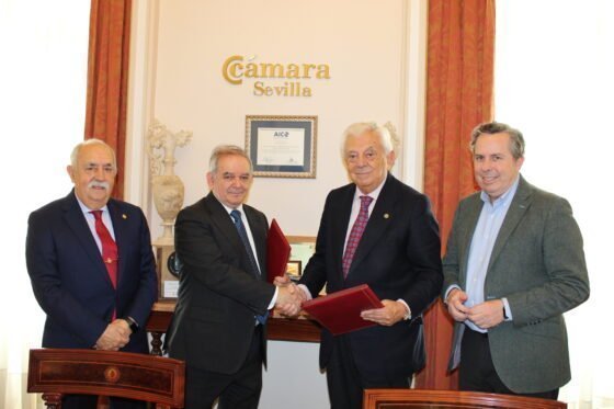 La Fundación Cámara colabora con el programa de apadrinamiento de escolares de la Hermandad de la Divina Pastora de Nuestras Almas