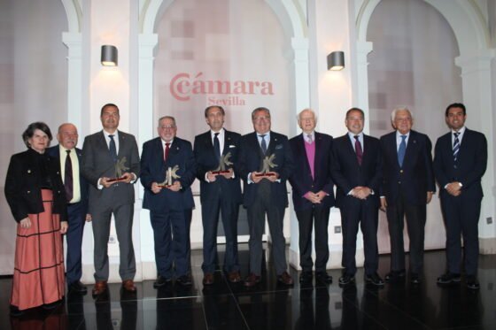 La Fundación Cámara acoge la entrega de la XXXV edición de los Premios Demófilo