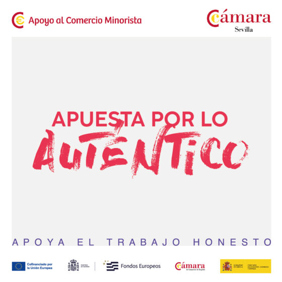 La Cámara de Sevilla insta al Ayuntamiento a intensificar el control de la venta ambulante no regulada para proteger al comercio tradicional