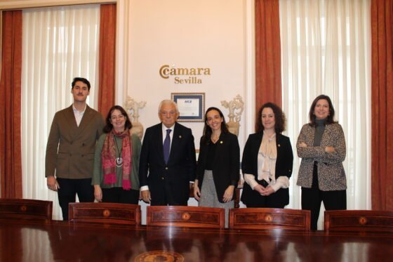 La Cámara de Comercio de Sevilla recibe a las empresas sevillanas seleccionadas en la Convocatoria INSPIRES