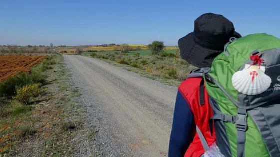 La Cámara de Sevilla colabora con el impulso del Año Santo 2027 de los Caminos Jacobeos