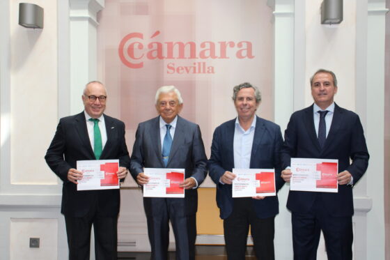 El Grupo Cámara de Comercio de Sevilla generó un impacto económico global de 237 millones de euros en la provincia en 2025
