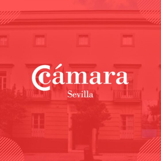 La Cámara de Comercio anima a las empresas sevillanas a participar en las concentraciones de apoyo a Ceuta
