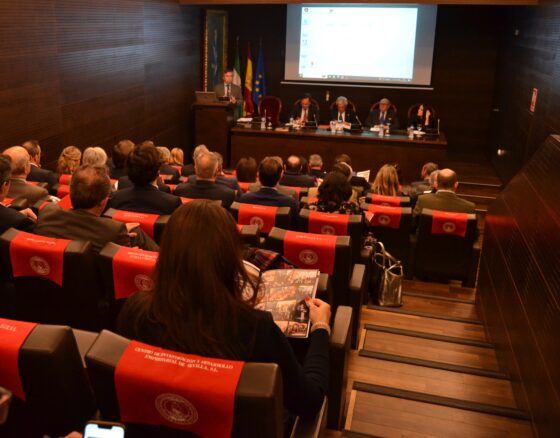 La Cámara de Comercio de Sevilla reclama un puente aéreo Sevilla-Madrid como solución alternativa “inmediata” ante el corte del servicio del AVE