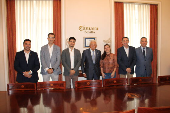 La descarbonización como estrategia empresarial y oportunidad de competitividad